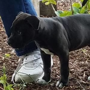 Meet your Posher, Belinda